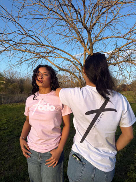 APDT Camiseta Rosa (New) - Image 4